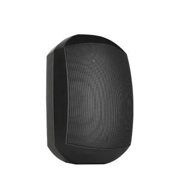 FK6 High-Quality 2-Way 6.5 Inch 8ohm Wall Mount PA Speaker for Classroom
