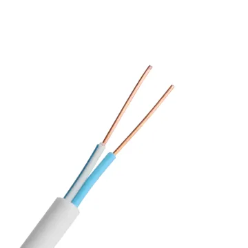 Wholesale PVC Covered RVV Copper Cable 2.5mm Electrical Wire Flat Cable