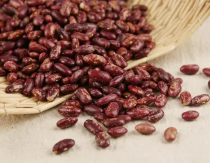 Kidney Beans Health Benefits