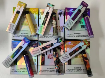 Electronic Cigarettes KANG VAPE