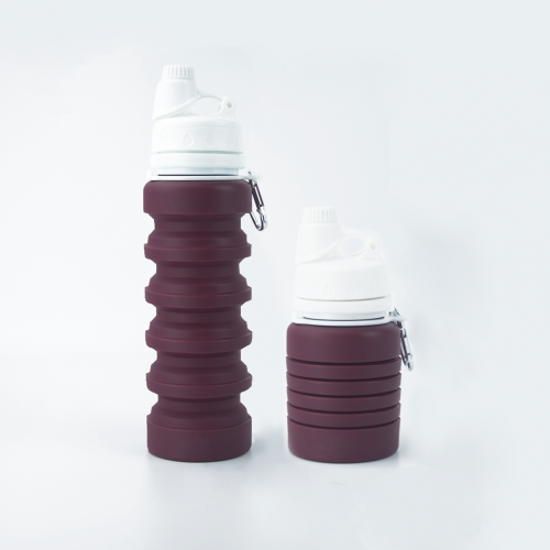Sports Colorful Silicone Collapsible Water Bottle