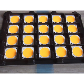 Original CITIZEN LED CLU05Q-1825E1 3500K 80CRI COB 38x38mm from KingBrite