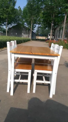 2015 TAYEB solid wood dining table and chairs