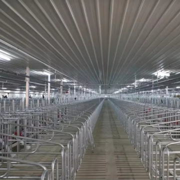 Custom Pig Shed and Stable Design for Horse Farms