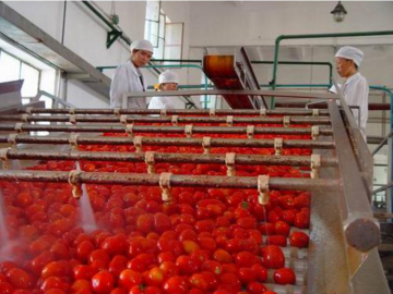 Linea di produzione di salsa di pomodoro
