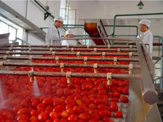 Tomato sauce production line