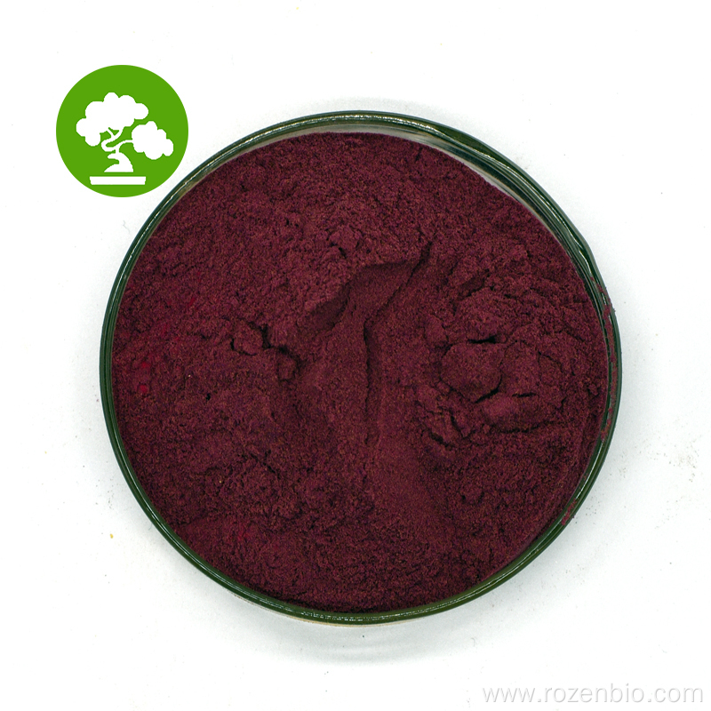 High Quality Natural Food Supplements Black Currant Powder