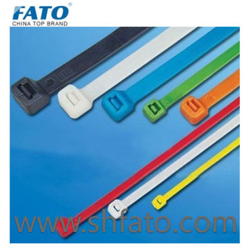 Self-Locking Nylon Cable Ties (FT)