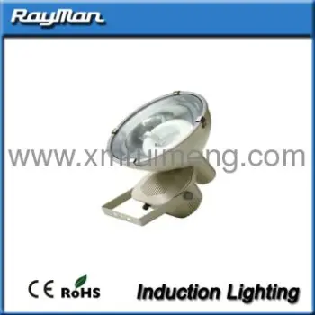 Induction Flood Light 300W With Aluminum Reflector