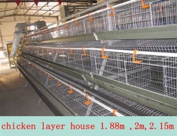 automatic chicken layer cage/chicken egg poultry farm equipment/small chicken