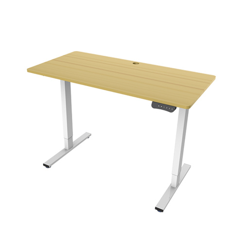 Lifting Smart Table Electric Sit Stand Desk