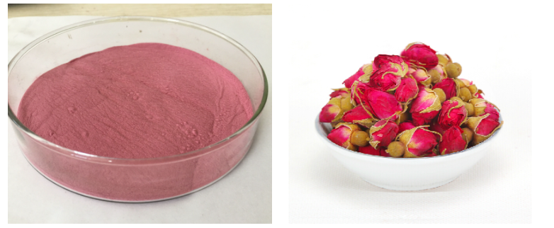 Rose fruit extract