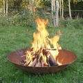 Metal Fire Pit Bowl Fireplace Fire Pits