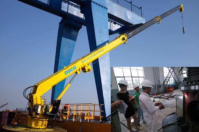 0.2T20M-Telescopic boom crane