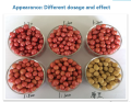 additivi per semi di soia per promuovere la nutrizione precoce TIS-363