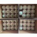 Hitachi th-type-e solvente de maquillaje para hitachi pb px pxr CIJ tintinjet impresora