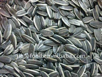 New crop Sunflower Seeds