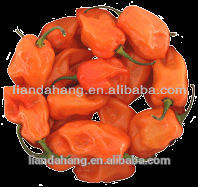 150,000-325,000SHU Tabasco habanero Chile