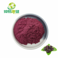 100% Pure Mulberry Powder