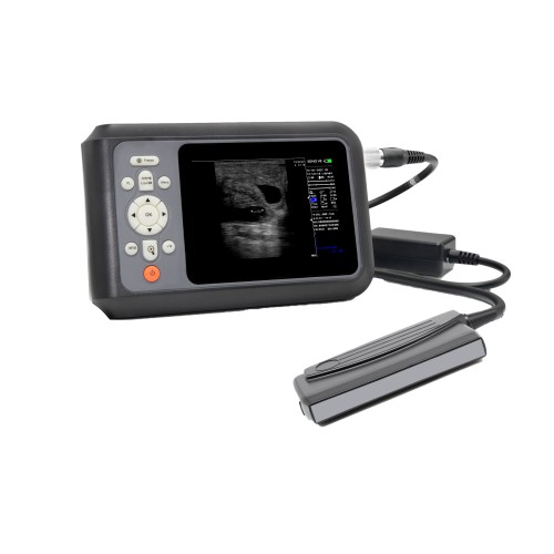 SONO V9 wired swine ultrasound