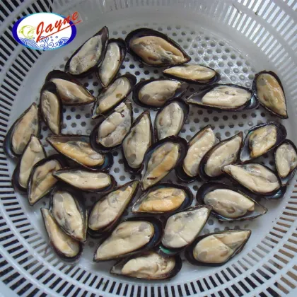 Low price seafood shellfish frozen half shell mussel
