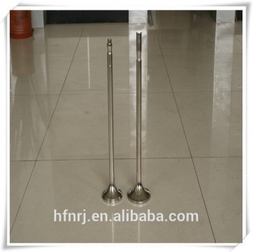R175,S195,S1110 professional manufactural agricultural diesel valve