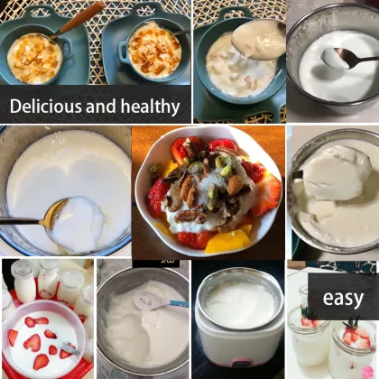 Home Use Automatic Stainless Steel Mini Electric Natto Yogurt Maker Machine