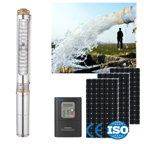 DC 110V Solar Submersible Water Pump System: Efficient Irrigation Solution