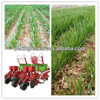 New Seed Planting Machine