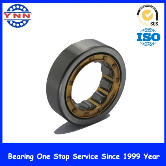 China factory directly wholesale RNU 202 20x35x11 bearing
