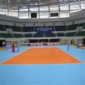 Piso de voleibol de PVC interior profesional Piso de deporte económico multipropósito Mat