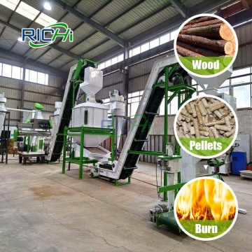 RICHI 1 Ton Wood Pellet Production Line
