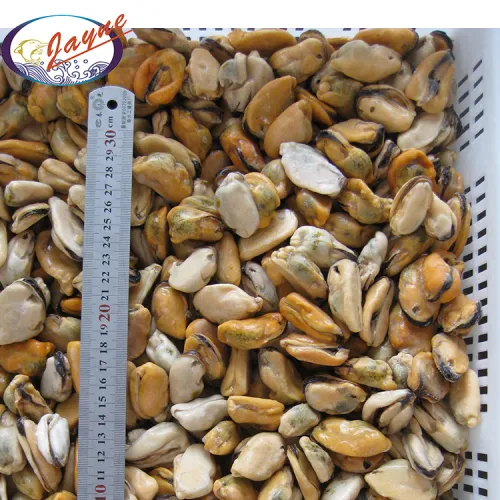 Seafood Mytilus Edulis Frozen Shellfish Without Shell Frozen Mussel