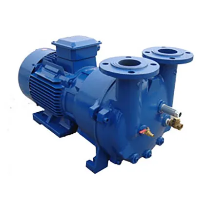 Electric Space-Saving 2BV 5110 Water Ring Vacuum Pump