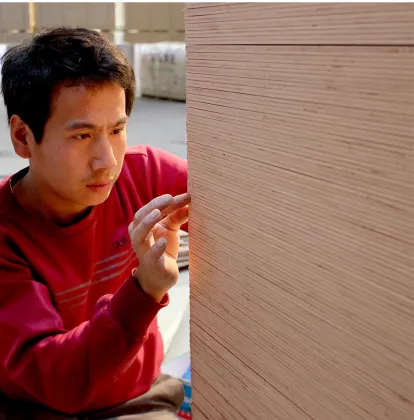 Birch plywood furniture Commercial Plywood