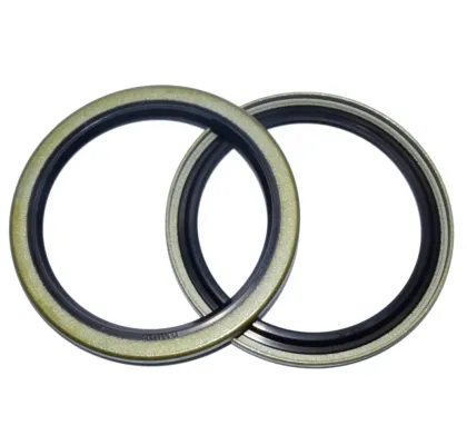 OEM Number Seals VB VAY DKC Type from DMHUI Seal Factory