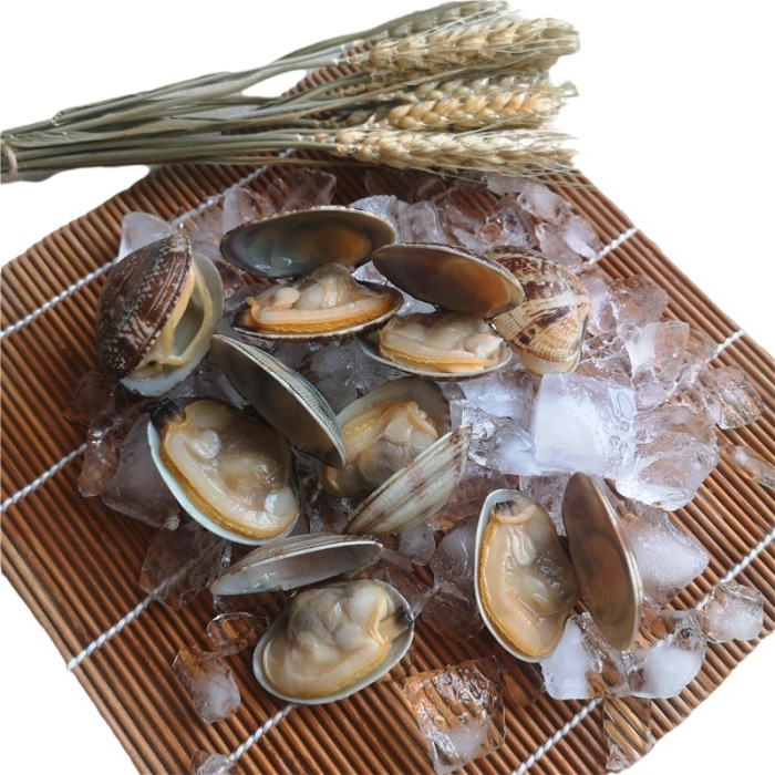 Hochwertige gefrorene Kurznackenmuscheln