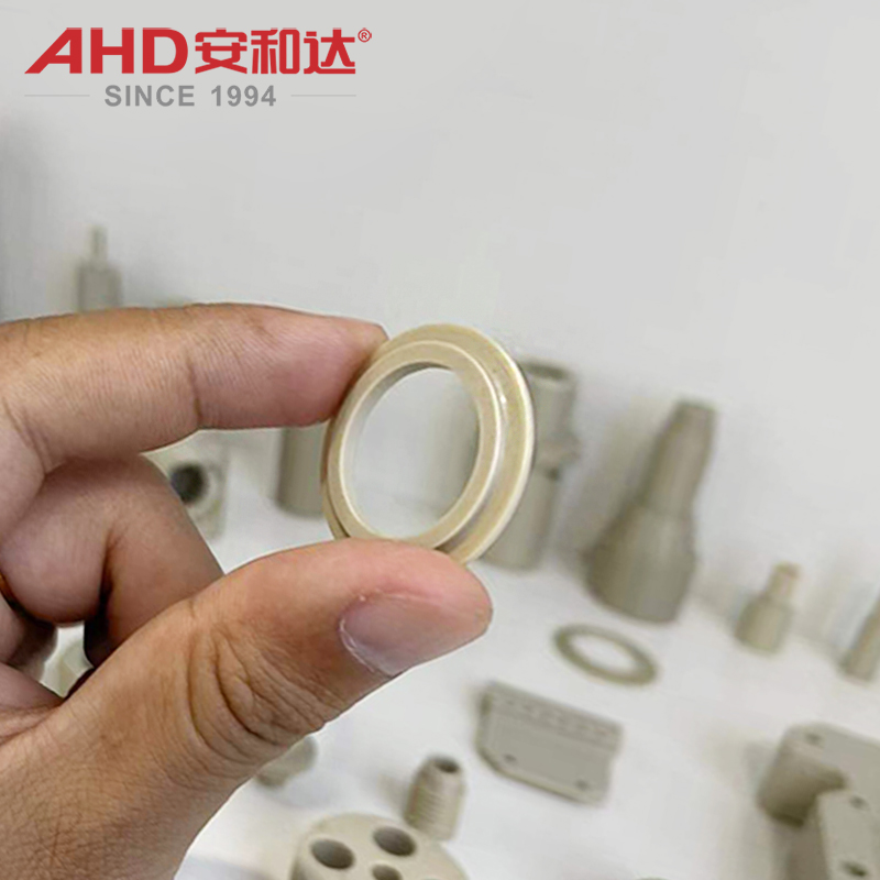 Custom PEEK Flange Gasket