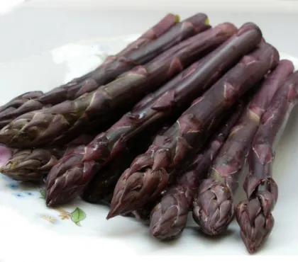 Asparagus Seed Germination/Planting Asparagus Plants Seeds/Purple Asparagus Crowns Seeds