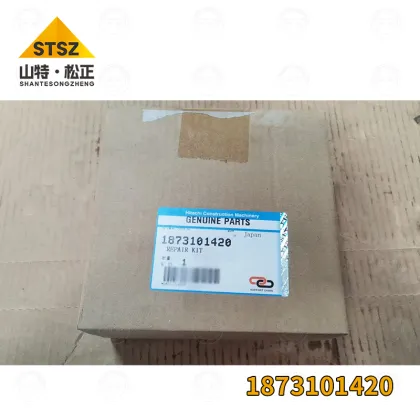 Hitachi ZX450-3F Coupling 1873101420