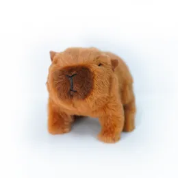 capybara