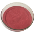 Blueberry extract nature fruit blueberry powder Anthocyanins