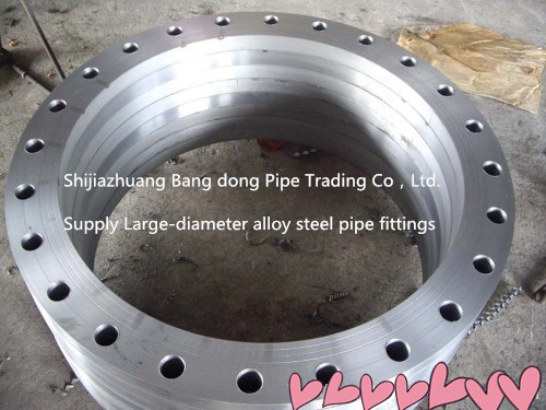 Large Diameter Steel Forged Weld Neck Flange