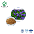 Purple Iris Root Extract Powder for Natural Anti-inflammatory Supplements