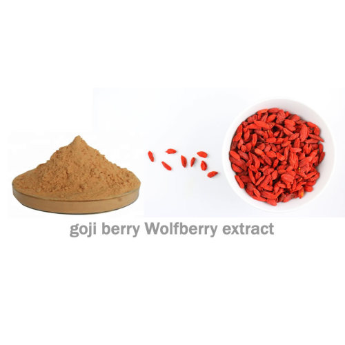 Wholesales Black Goji Berry Extract Powder