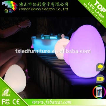 Remote control cordless illuminated led led pet/toy