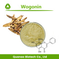 Scutellaria Baicalensis Root Extract Wogonin 98% Powder