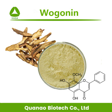 Scutellaria Baicalensis Root Extract Wogonin 98% Powder