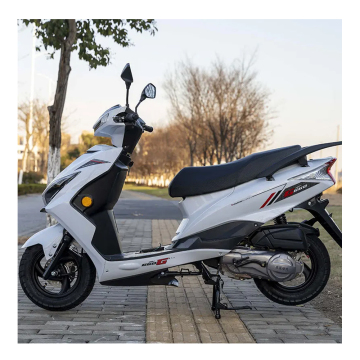 Super Eagle Brandstofvoertuig en elektrische off-road motorfietsen 125cc voor mannen en vrouwen