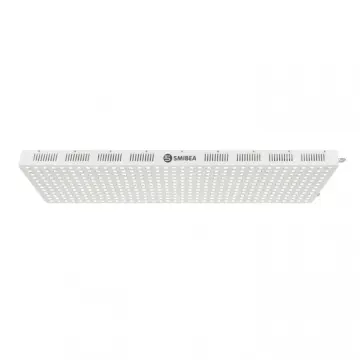 600W Home Use Dual Switches LED Light Therapy